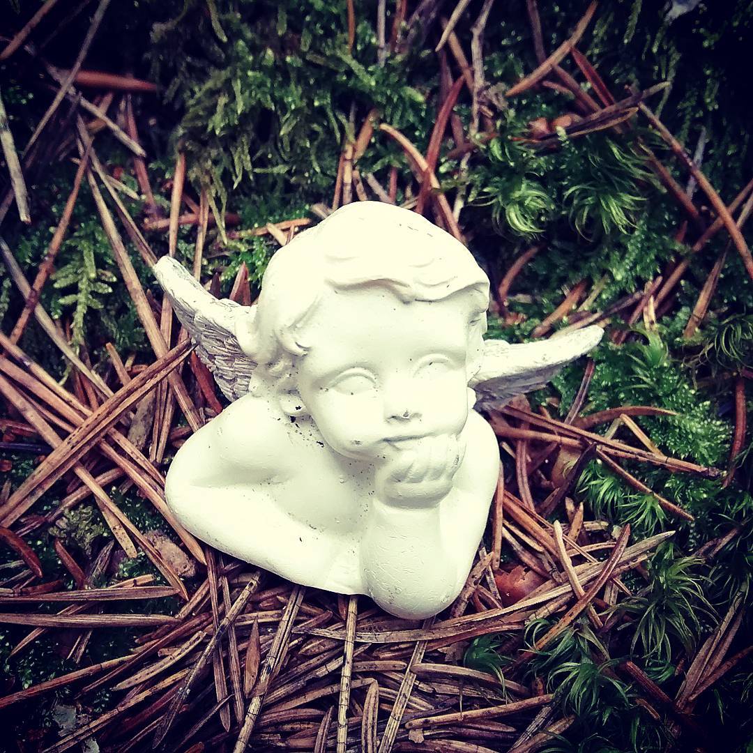#angel in the #woods