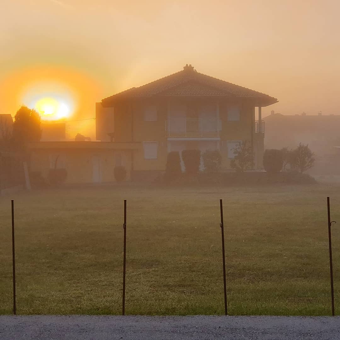 Fireball #sunrise #dawn #fog